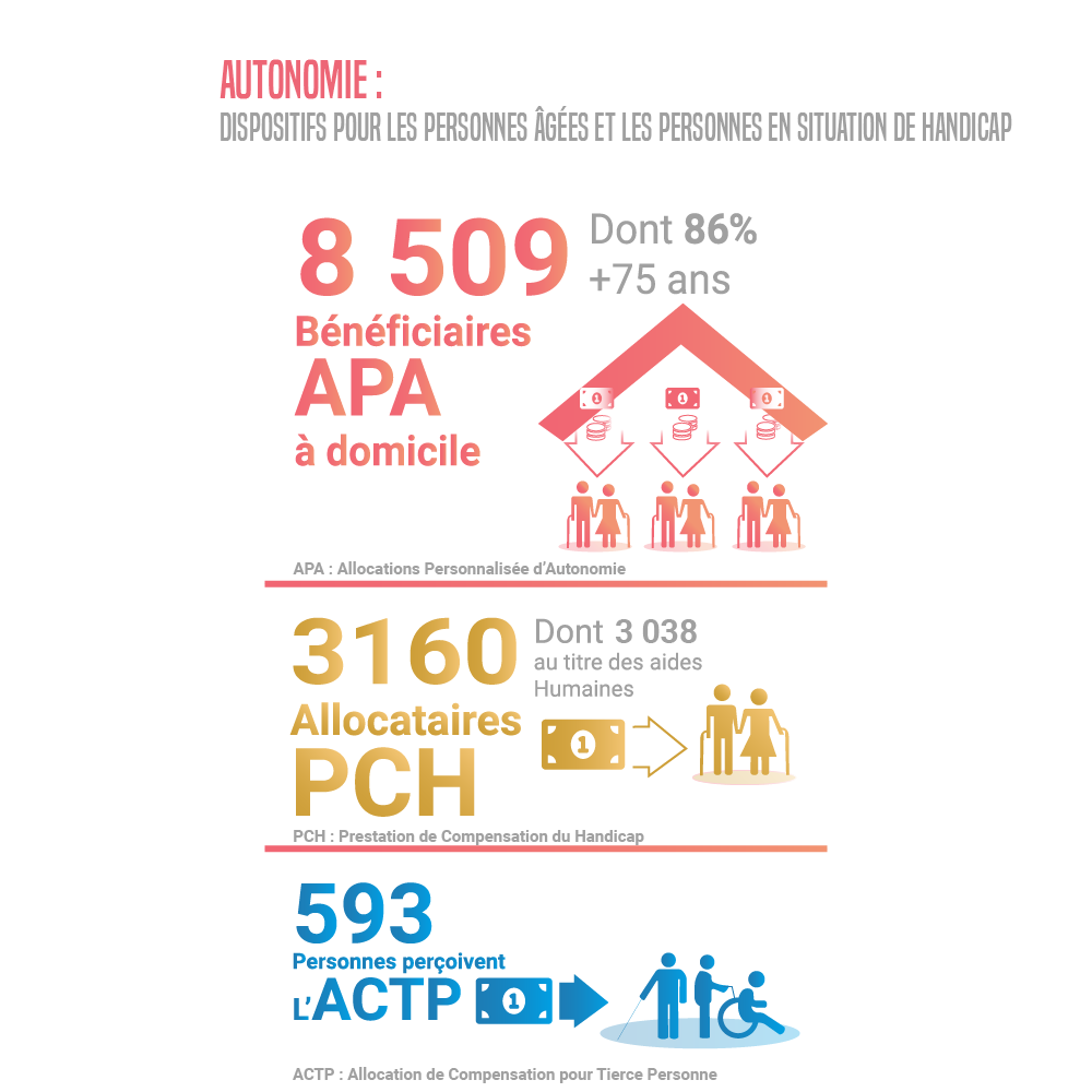 infographie sur l'autonomie